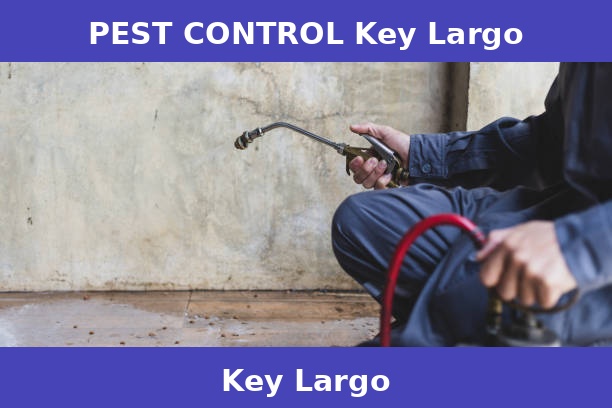 PEST CONTROL Key Largo